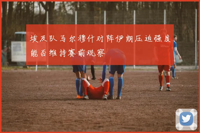 埃及队马尔穆什对阵伊朗压迫强度能否维持赛前观察